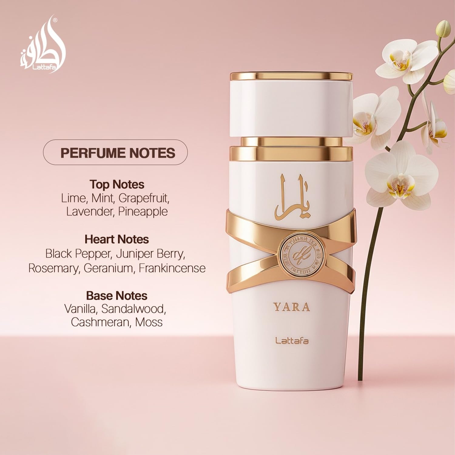 Yara Moi Long Lasting Perfume For Women Eau De Parfum 100ml Lattafa